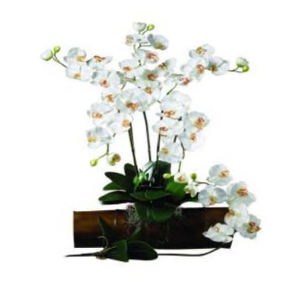 Dare2Decor 31.5 in. H Cream Phalaenopsis Stem - Set of 12 DA1536613 - main